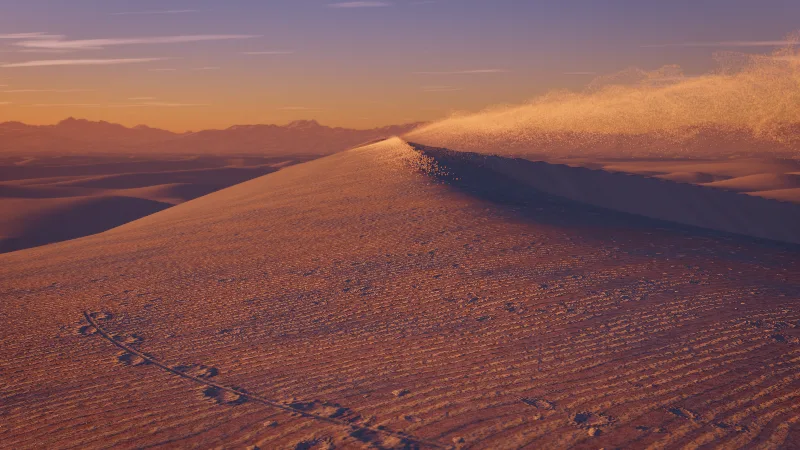A sand dune at sunset, its ridge releasing a veil of blown sand, a trace drawn in the foreground sand.